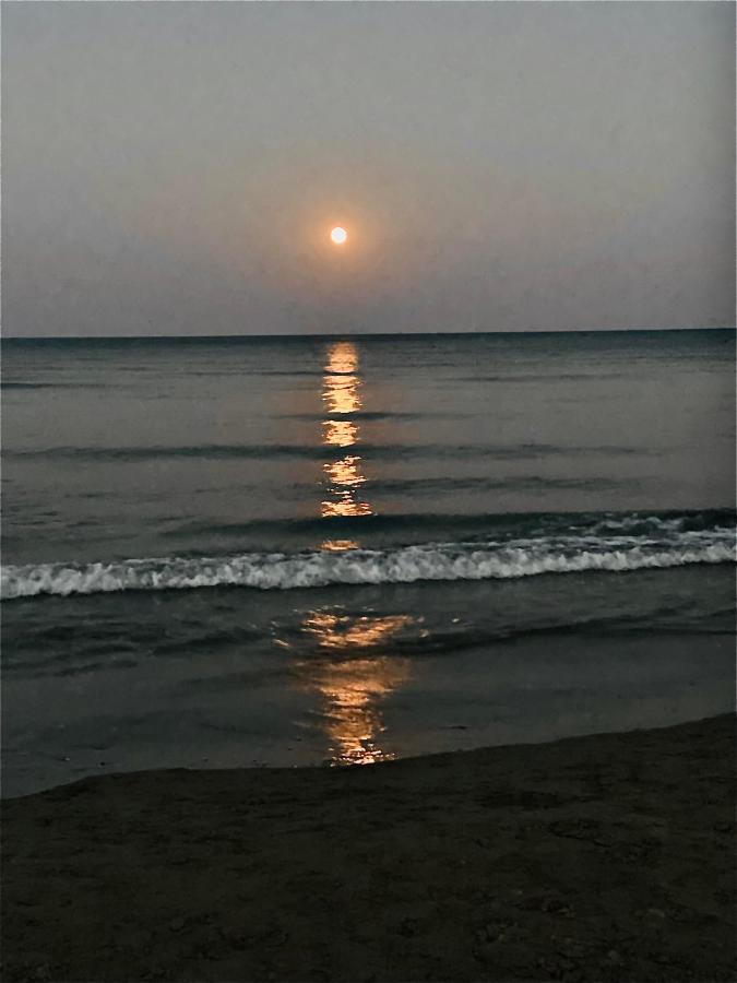 Bali 404 * Ларнака